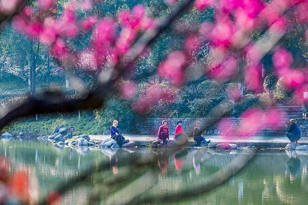 世界性难题!天津发边线球失误,青岛男篮反击上来杀死比赛